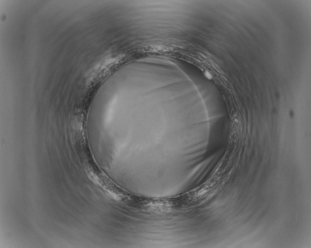 X0000067390415200604211638