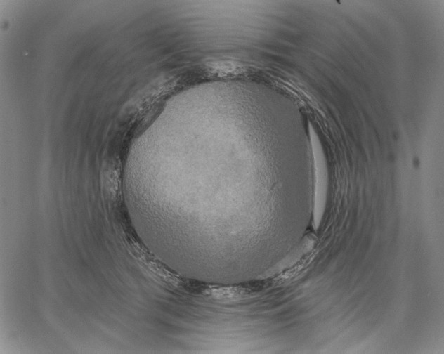 X0000067390417200604211638