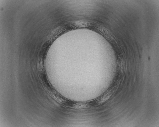 X0000067390418200604211638