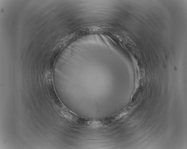 X0000067390419200604211638