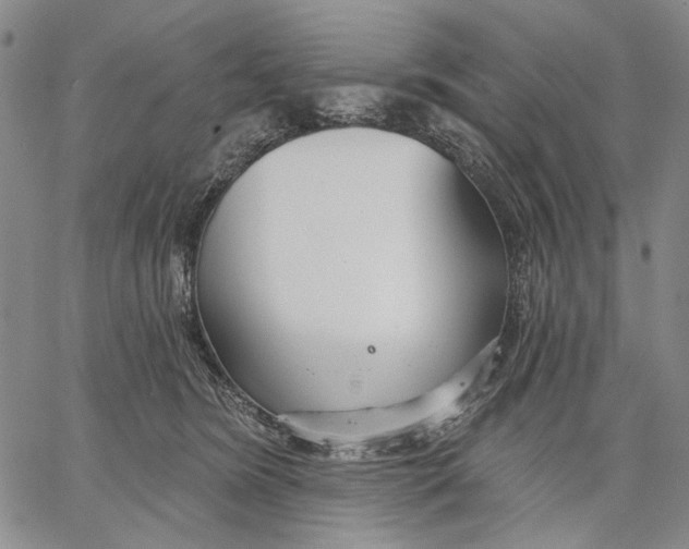 X0000067390420200604211638