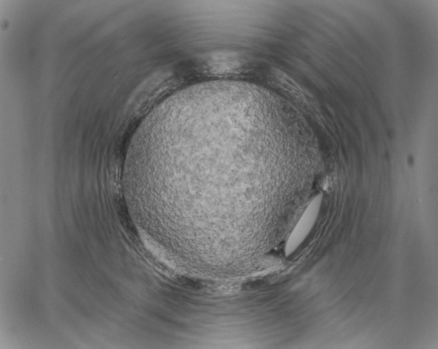 X0000067390421200604211638