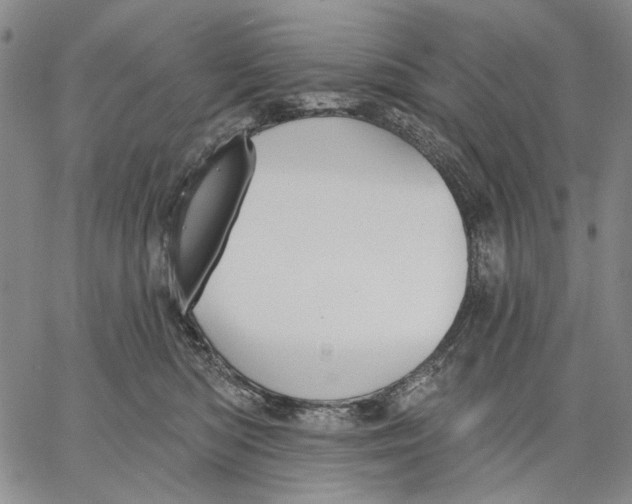 X0000067390422200604211638