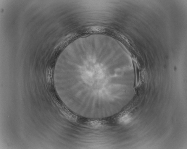 X0000067390423200604211638