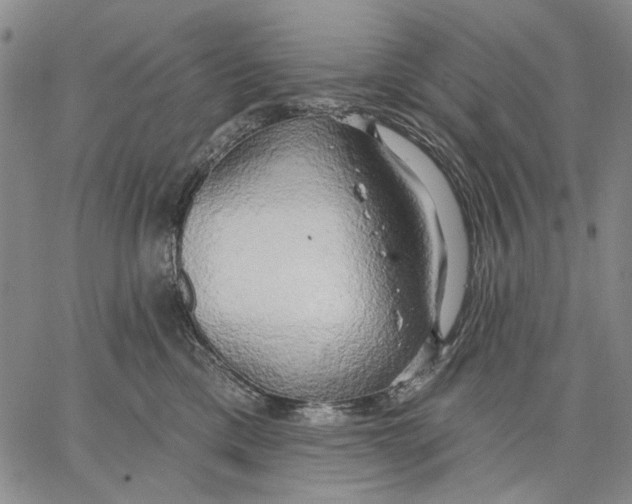 X0000067390425200604211638