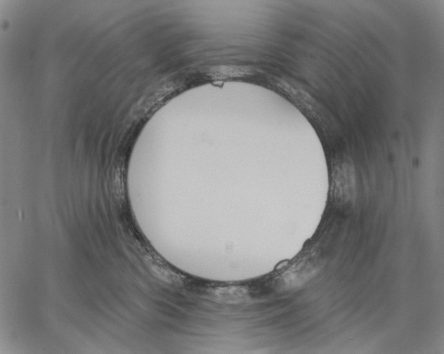 X0000067390426200604211638