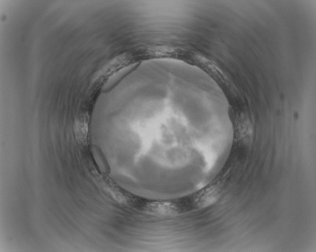 X0000067390427200604211638