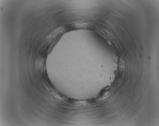 X0000067390428200604211638