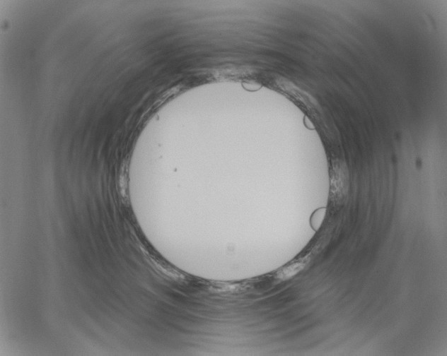 X0000067390430200604211638