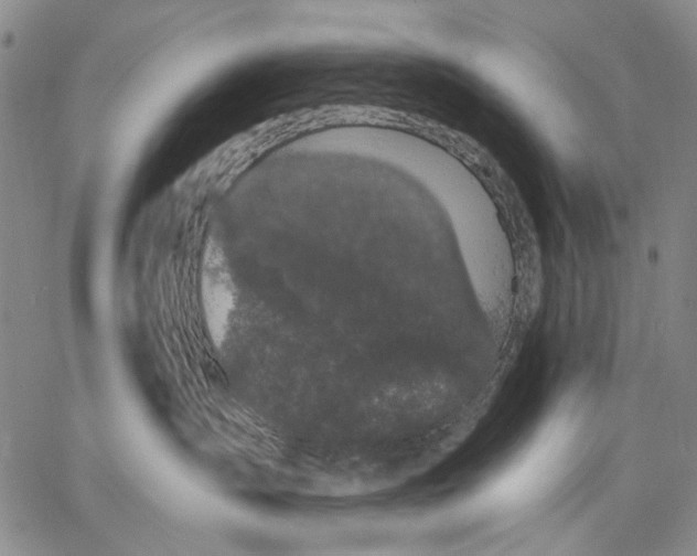 X0000067390431200604211638