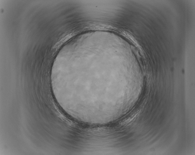 X0000067390433200604211637