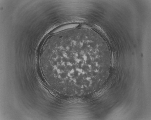 X0000067390435200604211637