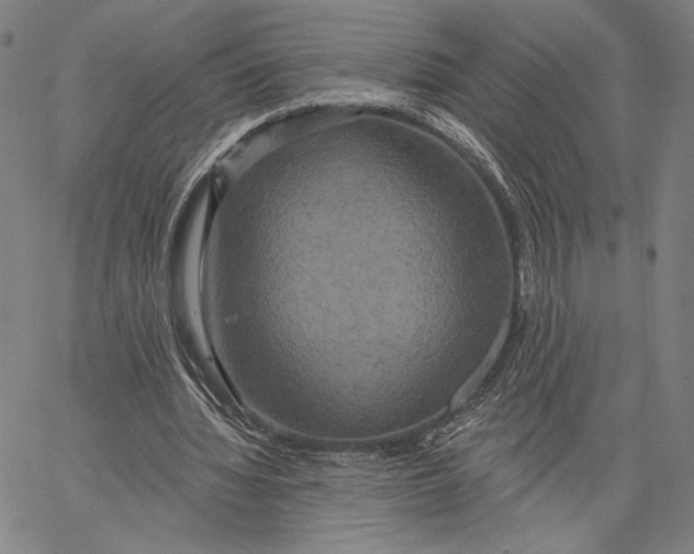 X0000067390436200604211637