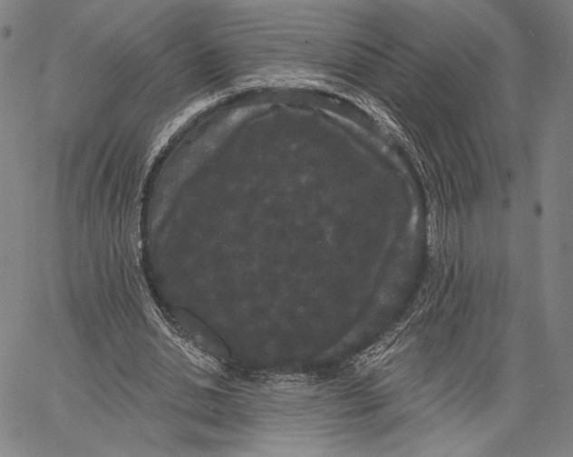 X0000067390438200604211637