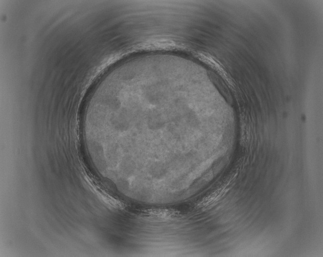 X0000067390439200604211637