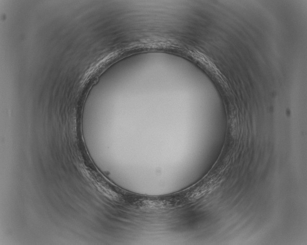 X0000067390442200604211637