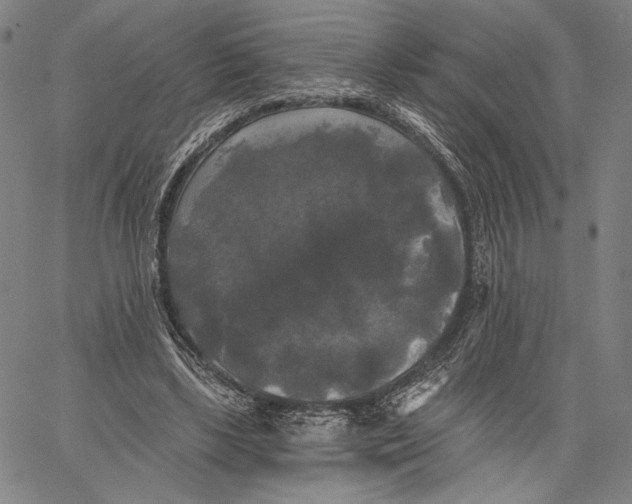 X0000067390443200604211637