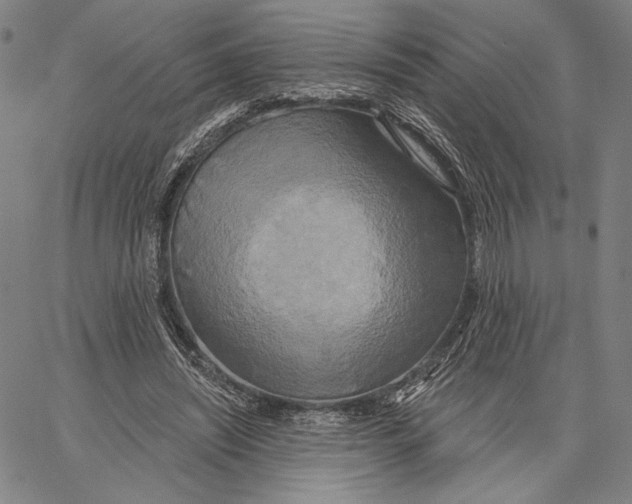 X0000067390444200604211637