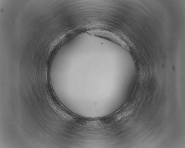 X0000067390446200604211637