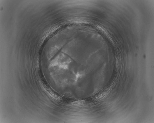 X0000067390447200604211638