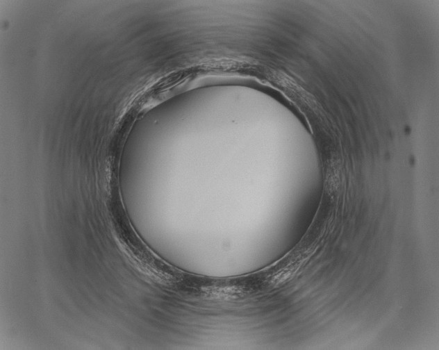 X0000067390448200604211638