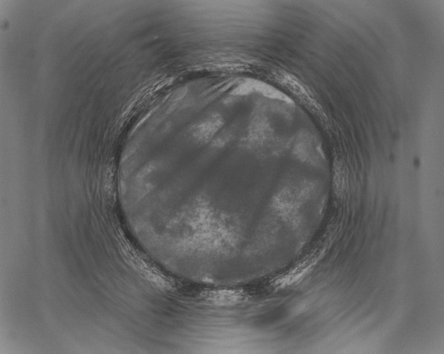 X0000067390449200604211638