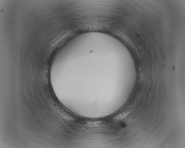 X0000067390450200604211638