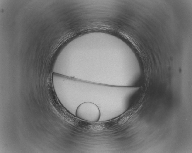 X0000067390451200604211638