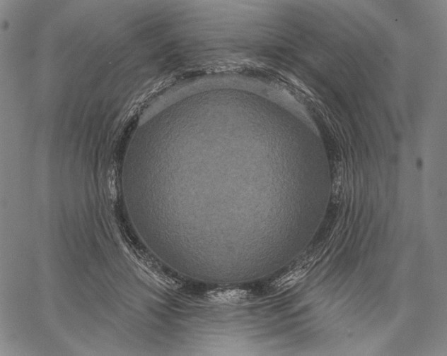 X0000067390452200604211638