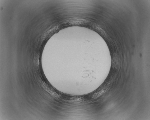 X0000067390454200604211638