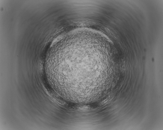 X0000067390456200604211638