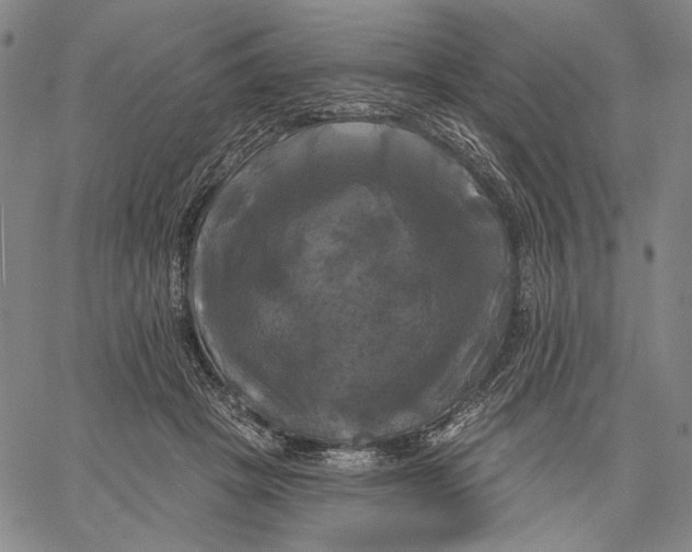 X0000067390457200604211638