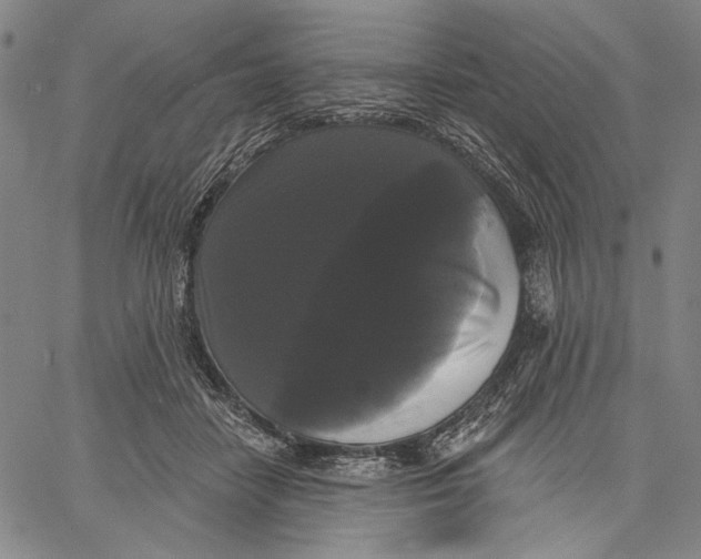 X0000067390458200604211638