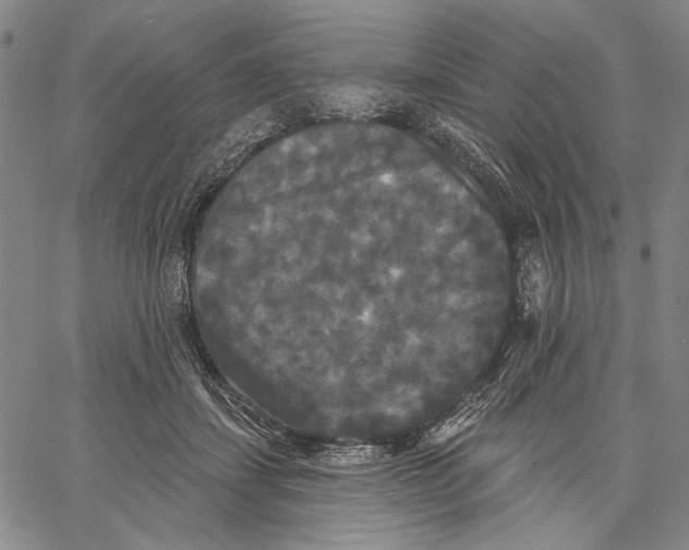 X0000067390459200604211638