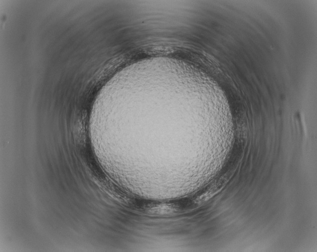 X0000067390460200604211638