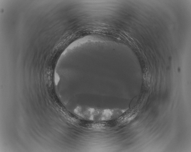 X0000067390462200604211638