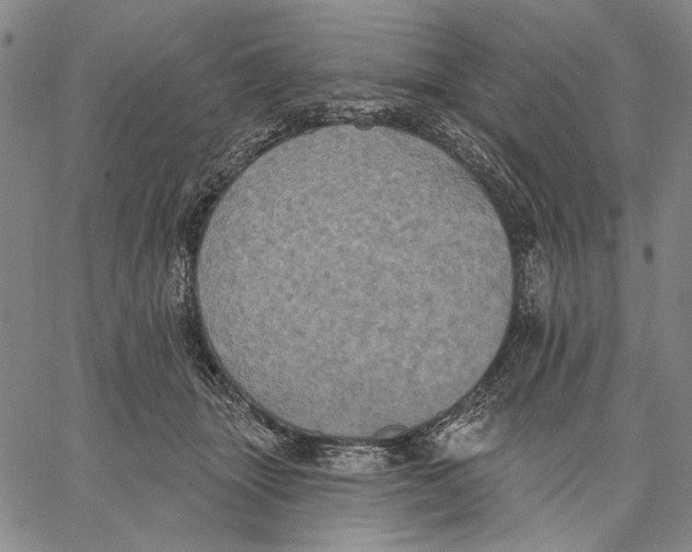 X0000067390463200604211638