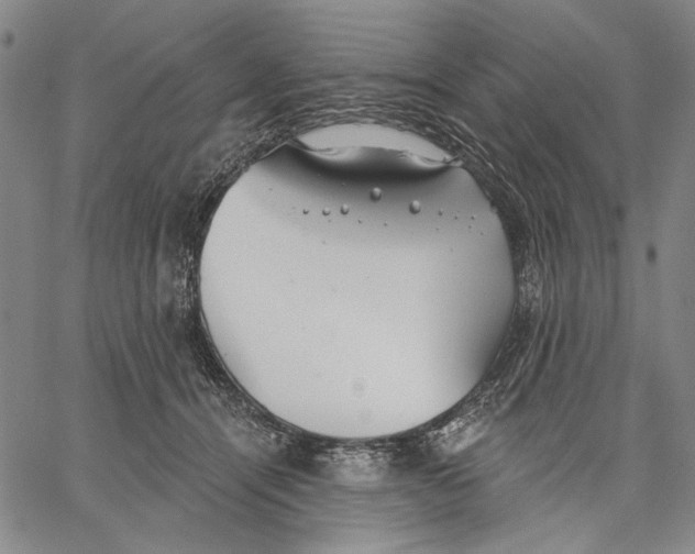 X0000067390464200604211638