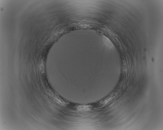 X0000067390465200604211638