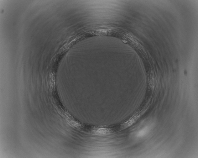 X0000067390467200604211638