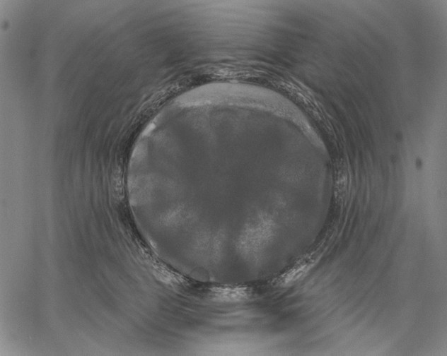 X0000067390469200604211638