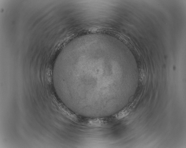 X0000067390470200604211638