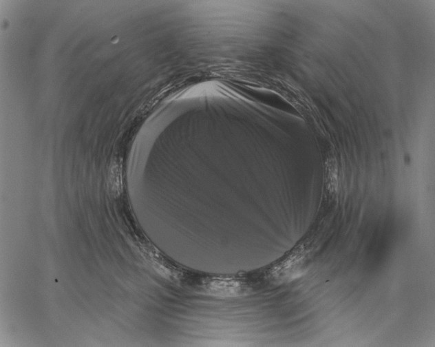 X0000067390471200604211638