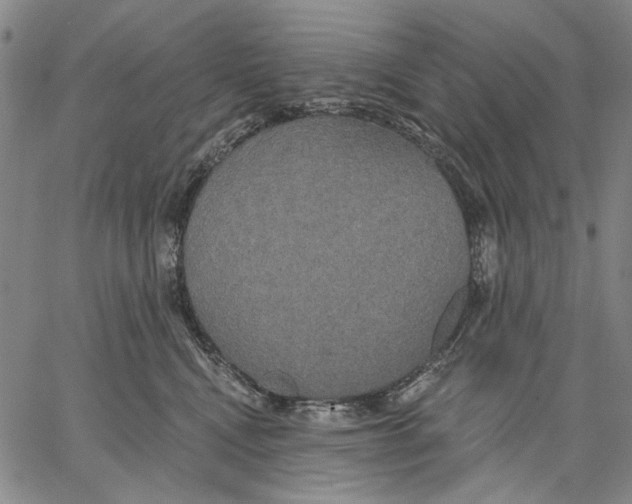 X0000067390472200604211638