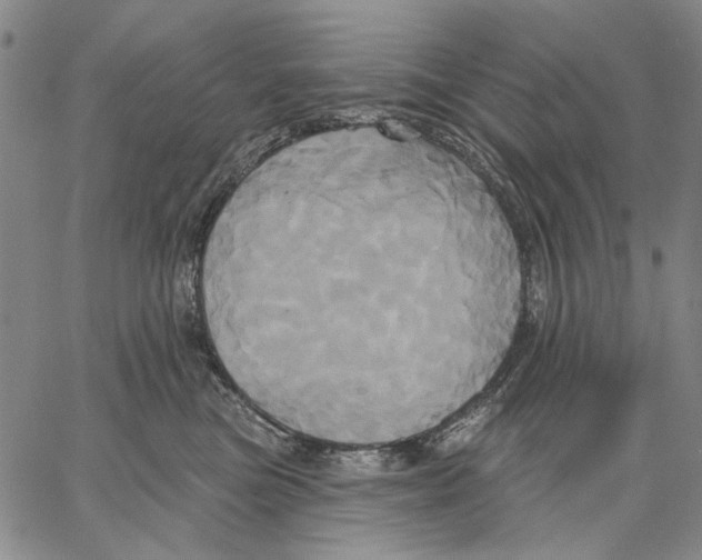 X0000067390473200604211638