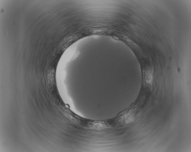 X0000067390475200604211638