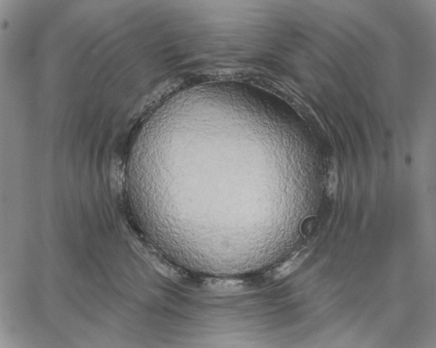 X0000067390476200604211638