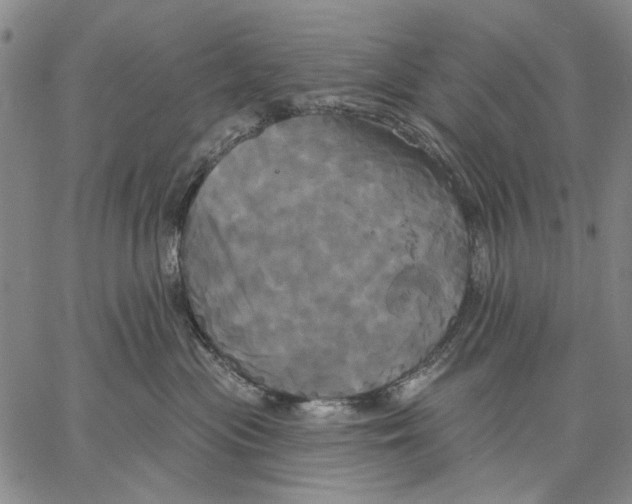 X0000067390477200604211638