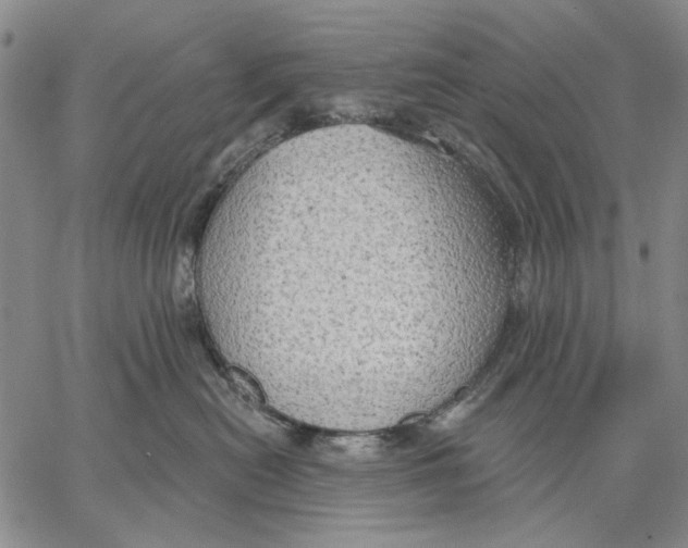 X0000067390478200604211638