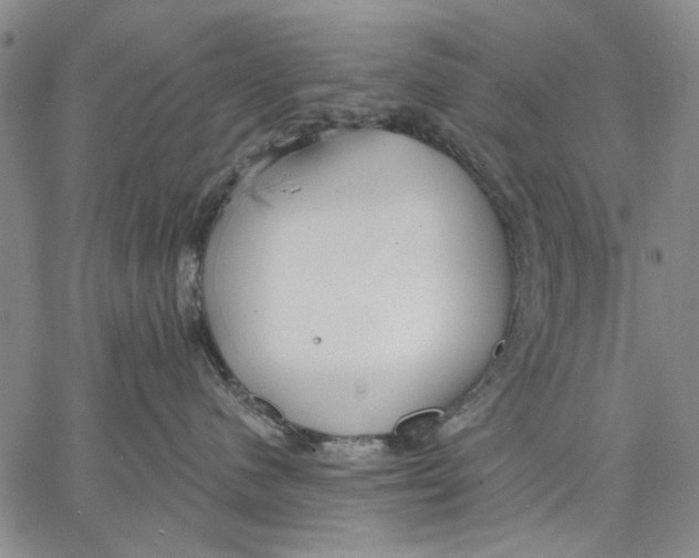 X0000067390480200604211638